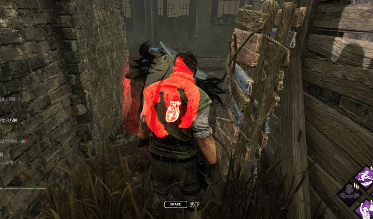 drsfg.jpg