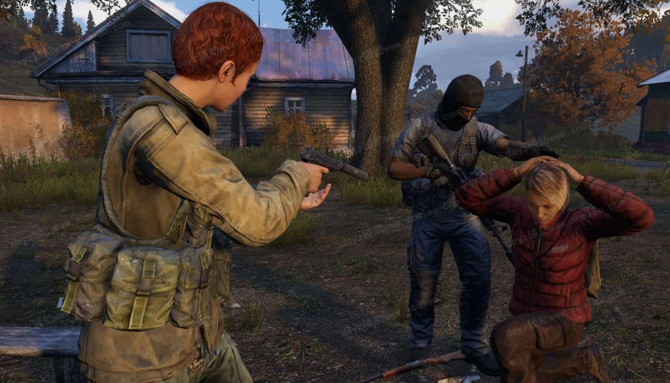 dayz辅助1_Jc.jpg