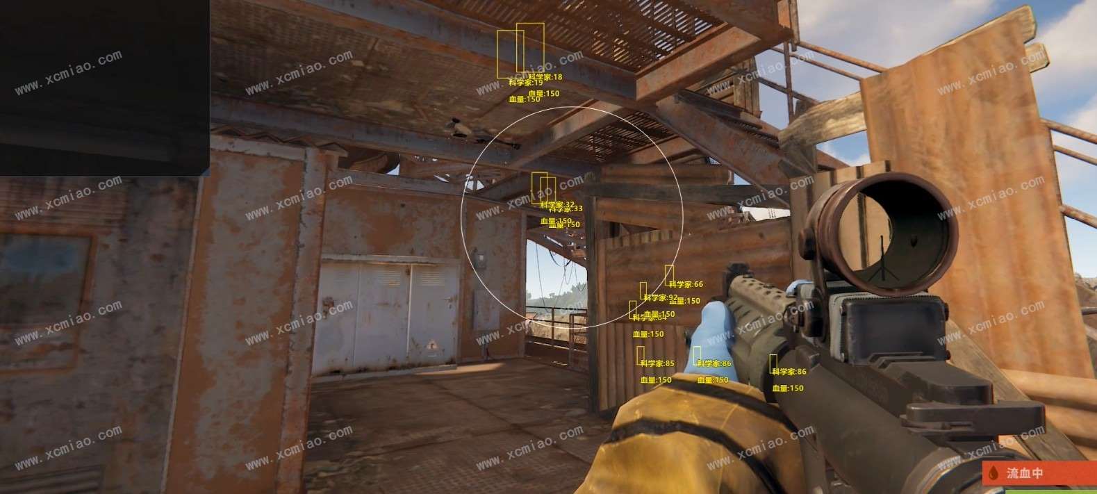 rr5.jpg