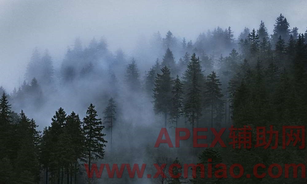 apex辅助网 (21).jpg